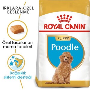 Royal Canin Poodle Junior Yavru Köpek Maması 3 Kg. - 8