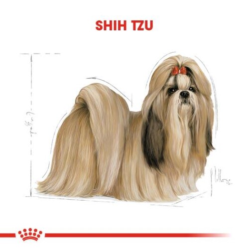 Royal Canin Shih Tzu Yetişkin Köpek Maması 1.5 Kg - 2