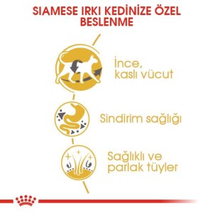 Royal Canin Siamese 38 Siyam Kedisine Özel Yetişkin Mamasi 2 Kg - 4