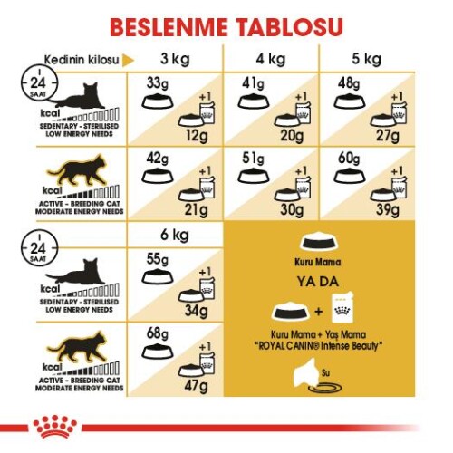 Royal Canin Siamese 38 Siyam Kedisine Özel Yetişkin Mamasi 2 Kg - 5