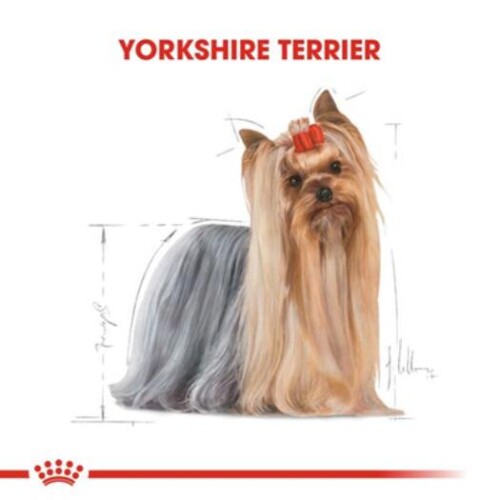 Royal Canin Yorkshire Terrier Adult Pouch Yetişkin Köpekler İçin Konserve 85 Gr - 2