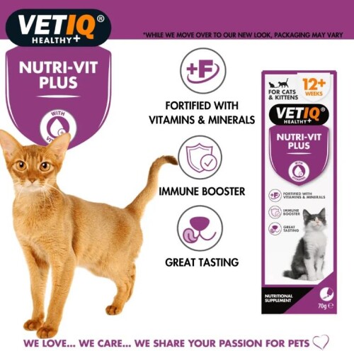 Vet IQ Nutri-vit Plus for Cats&Kittens Kediler İçin Vitamin & Mineral Takviyesi 70 Gr - 2