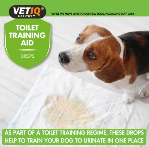 Vet IQ Training Aid Köpek Çiş Eğitim İlacı 60 ml - 3